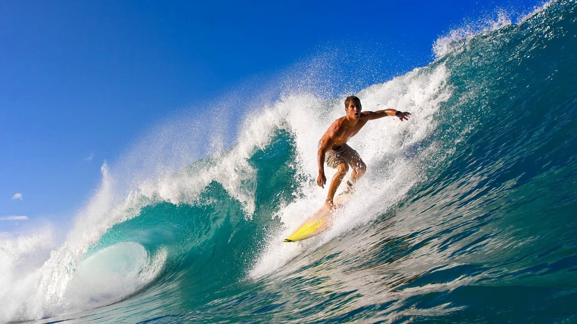 全球车迷盛典：WRC粉丝文化巡礼与狂欢派对，车迷大会